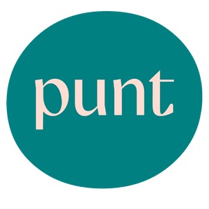 logo van punt vzw